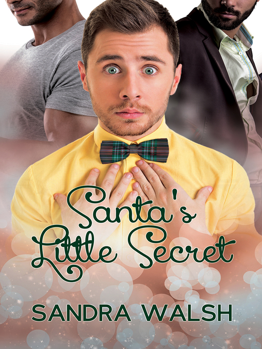 Title details for Santa's Little Secret by Sandra Walsh - Available